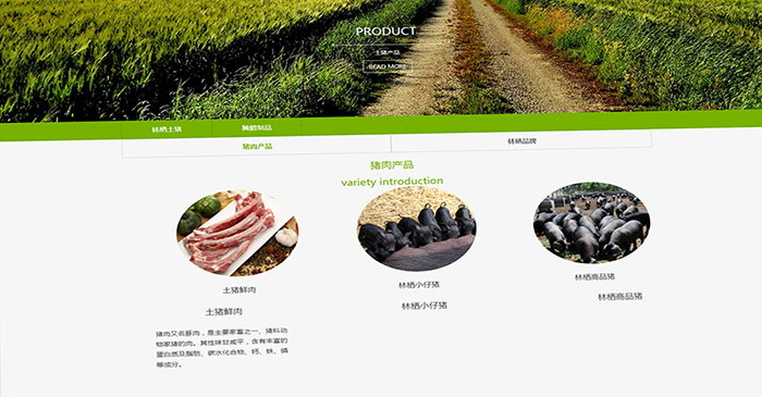 川藏黑猪-生态黑土猪肉食品网站建设